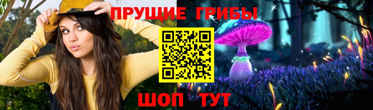 Дзержинский  Галлюциногенные грибы прущие грибы  Вход с VPN 