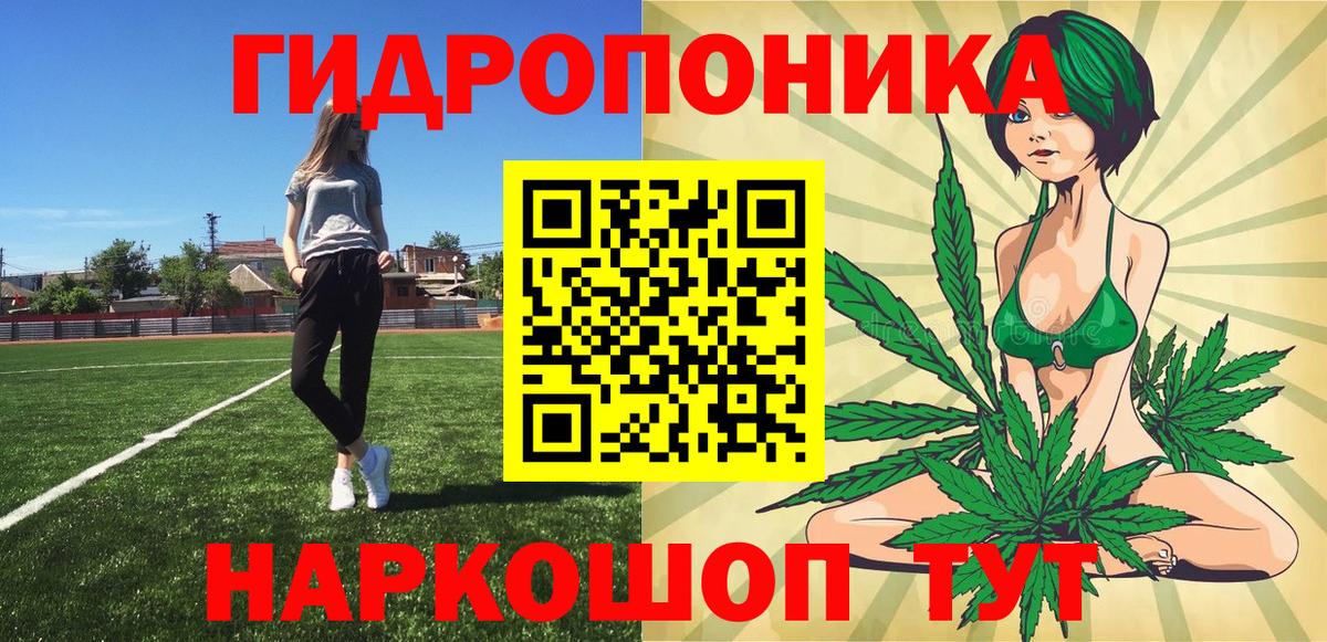 Шишки марихуана планчик  Бошки Шишки LSD WEED  Дзержинский 